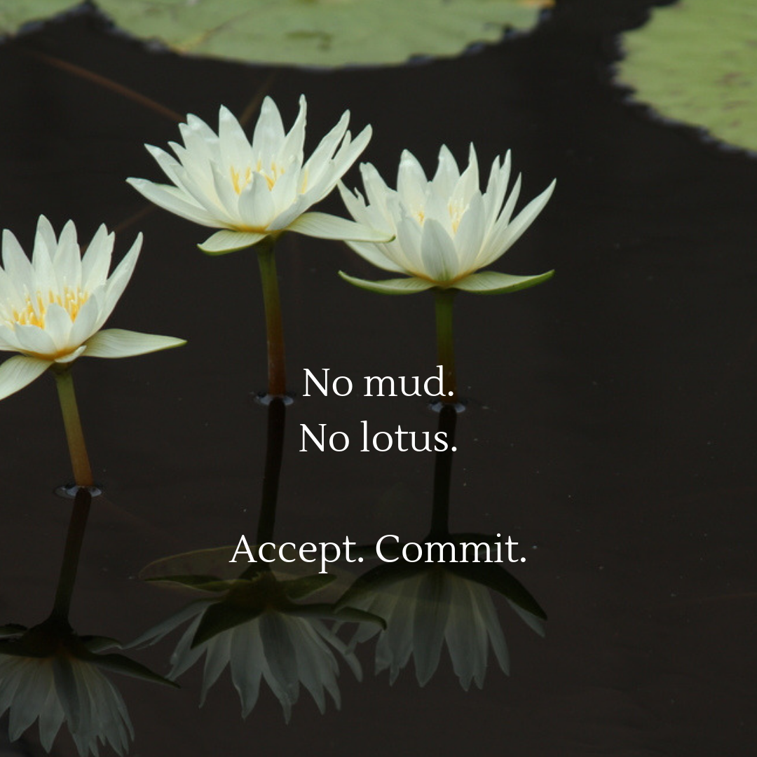 no mud.png