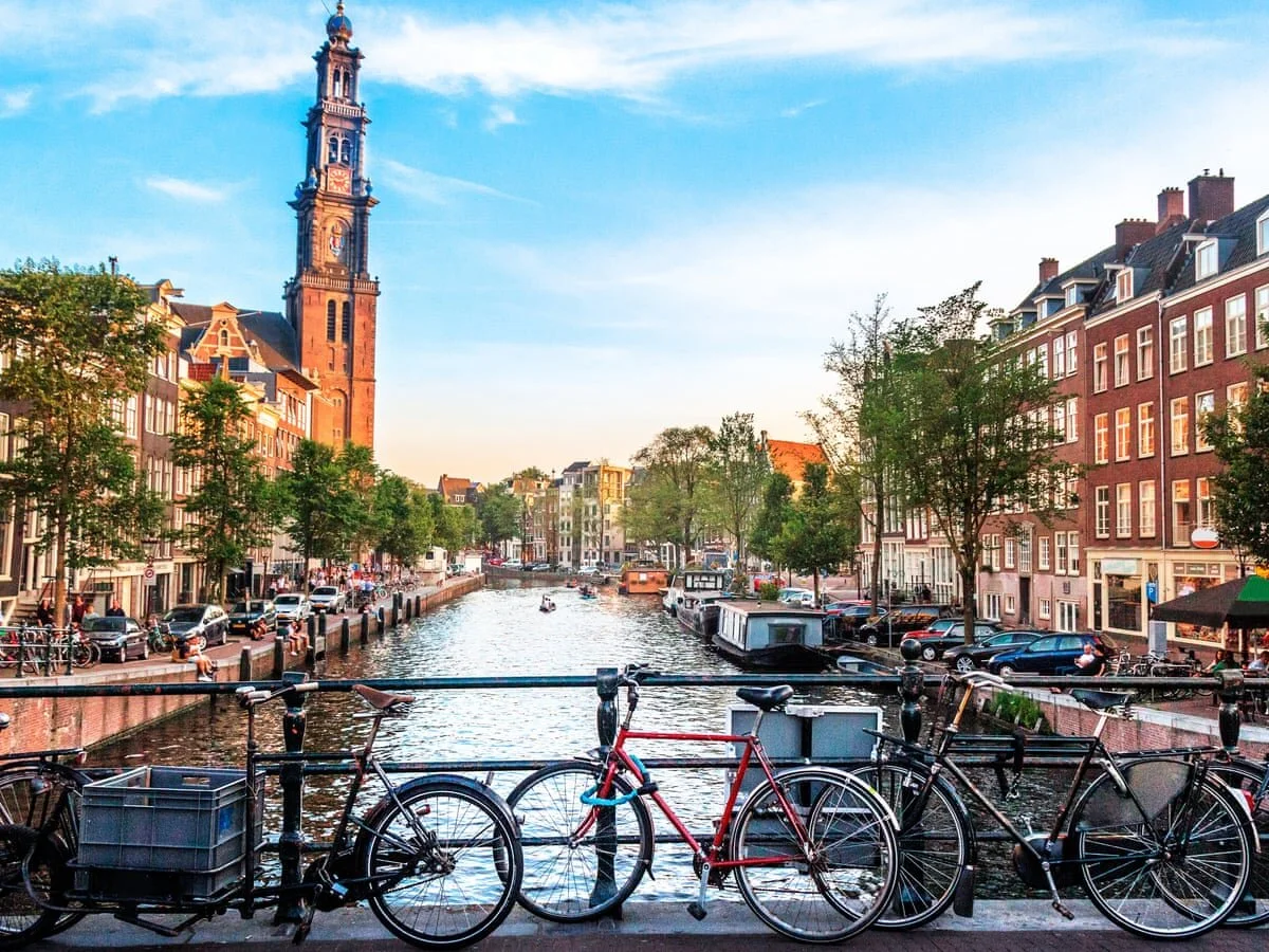 Raising Global Teens Amsterdam Virtual Book Launch