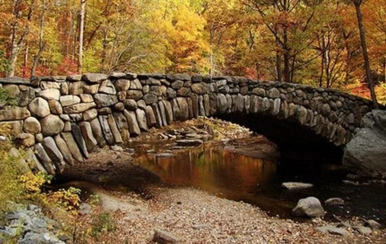 Chevy Chase Book Chat