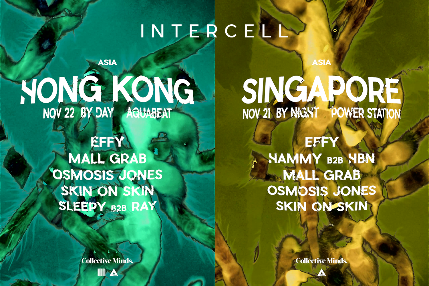 Intercell SG &amp; HK 2026
