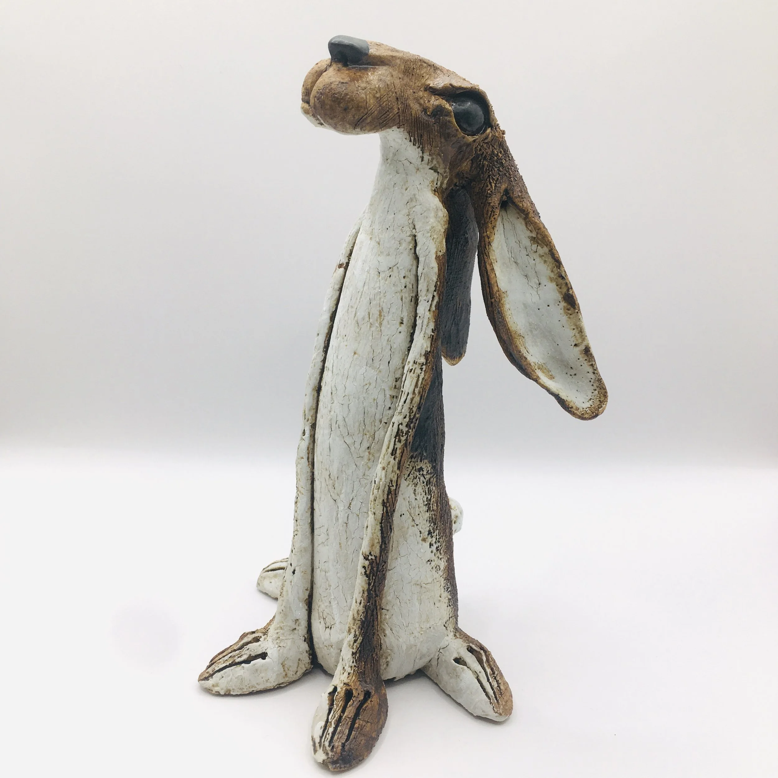Small Hare