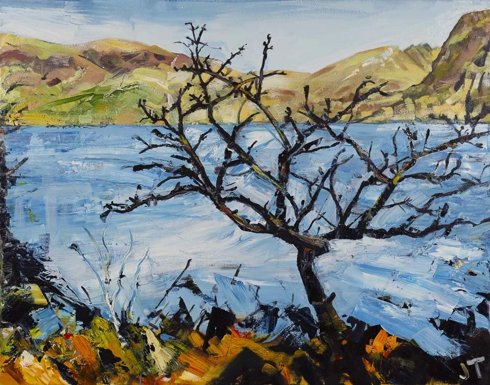 Hawthorn, Derwentwater
