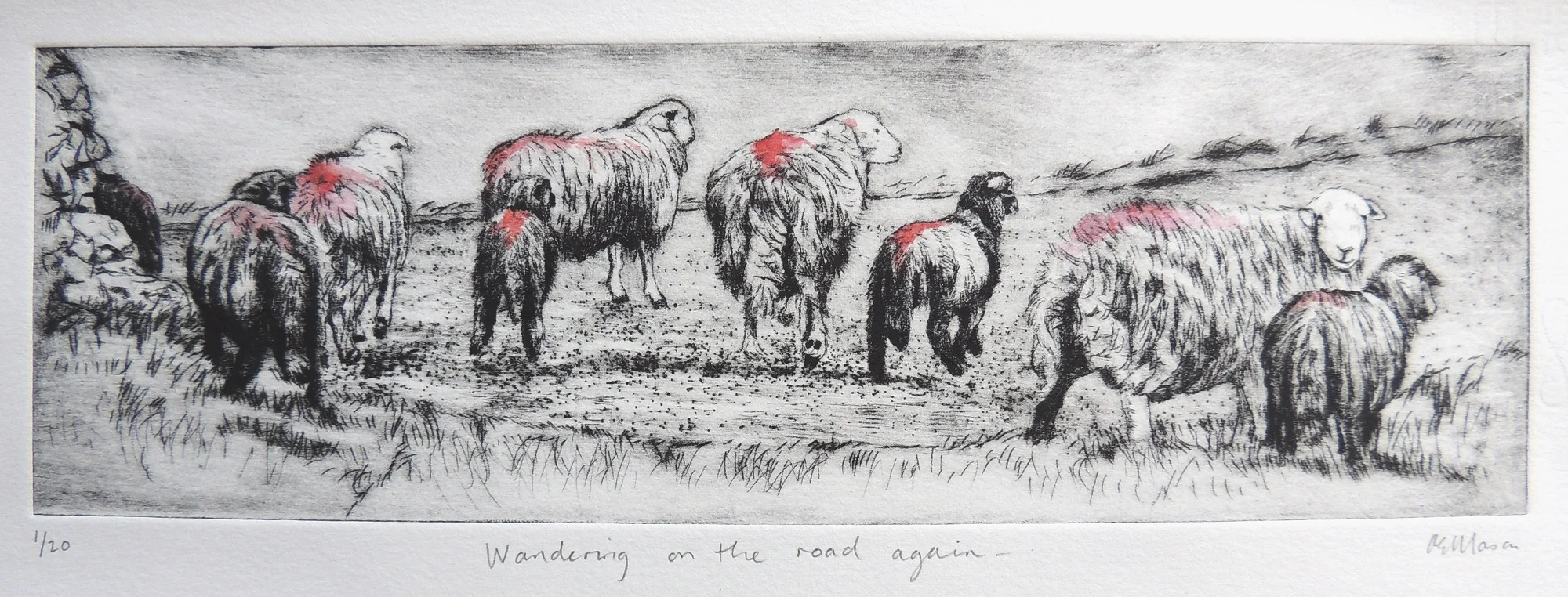 Wandering...AM - Copy.JPG