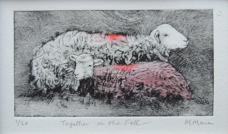 Together on the Fell.JPG