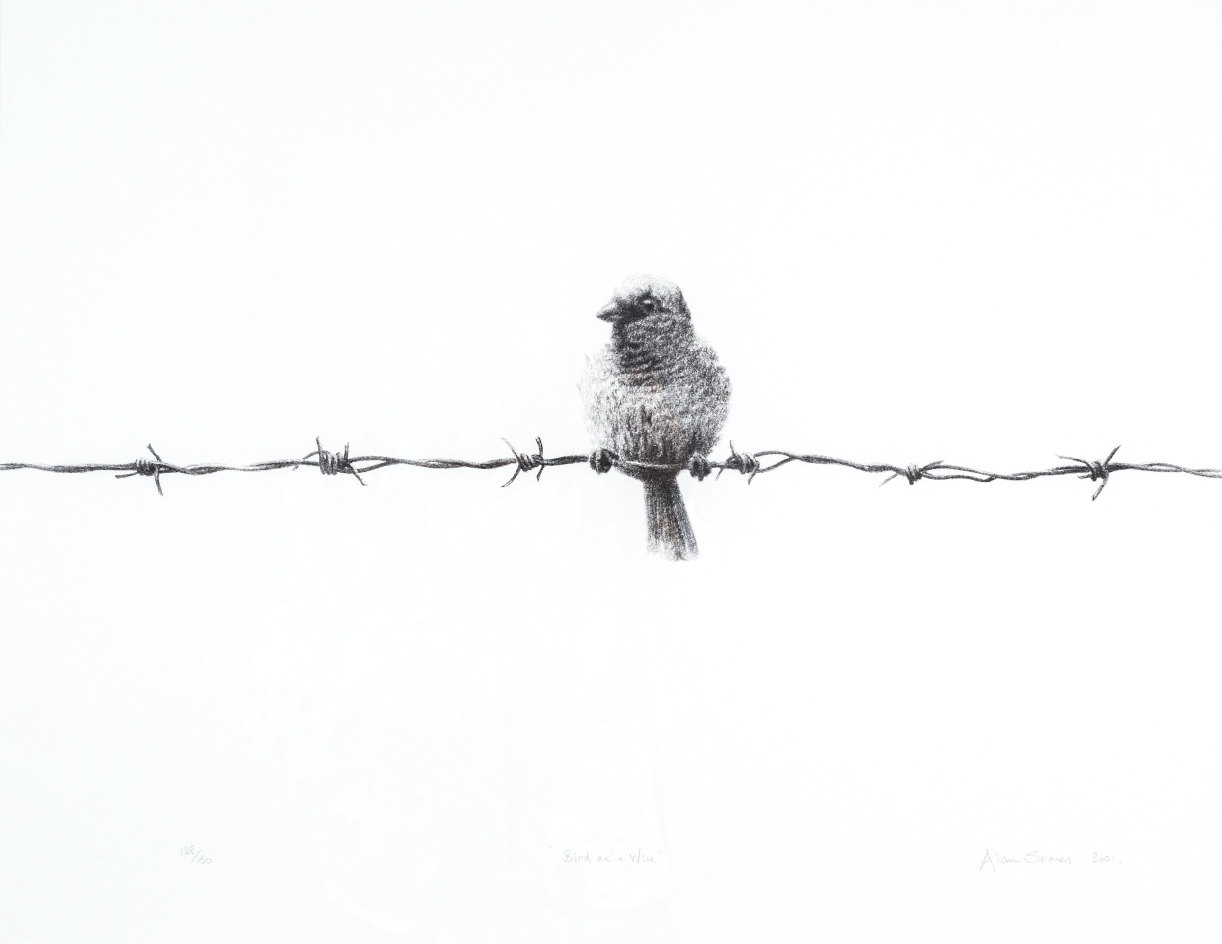Bird on a Wire - £355