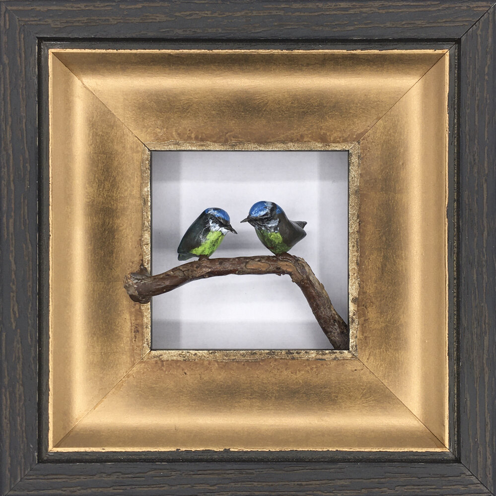 Bluetits on the Bough III - £180