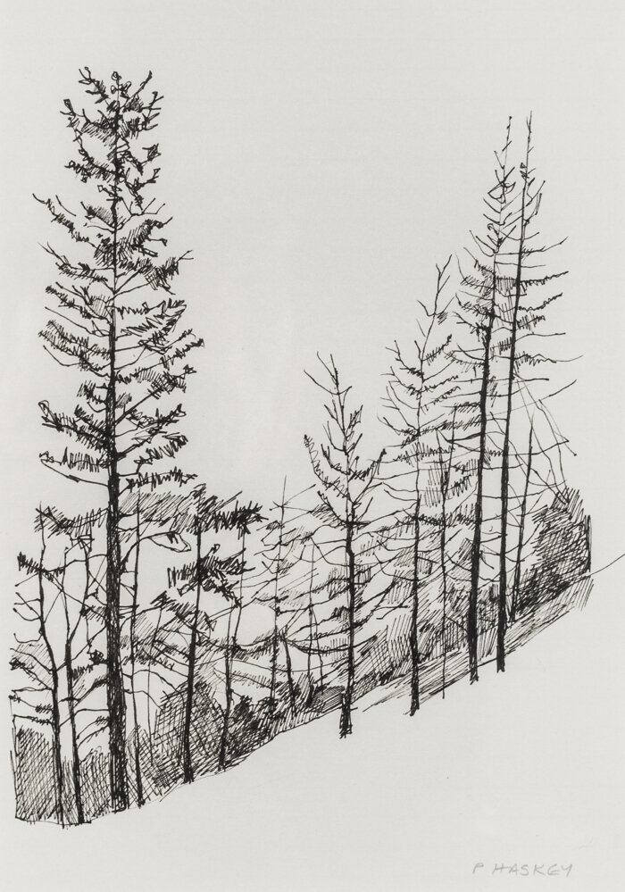 Trees Study (for Helvellyn) - £95