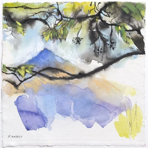 Rannerdale Knotts.jpg