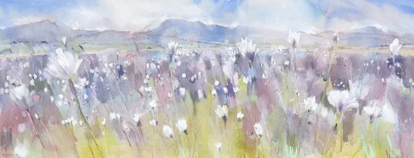 Summer Breeze - The Three Peaks.jpg