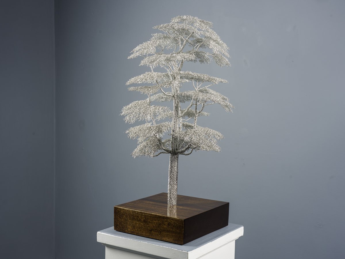 Large Cedar of Lebanon Tree