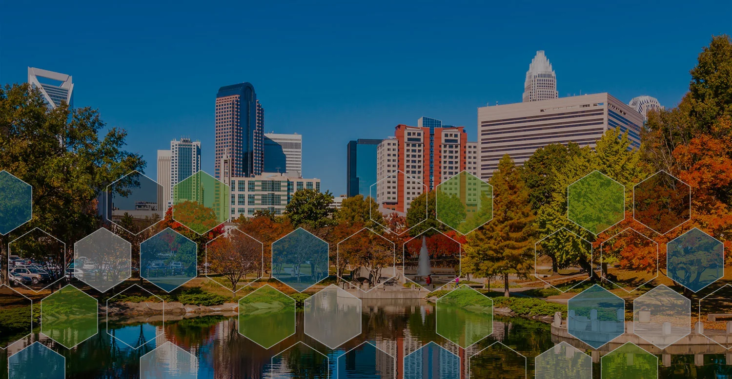 charlotte.jpg