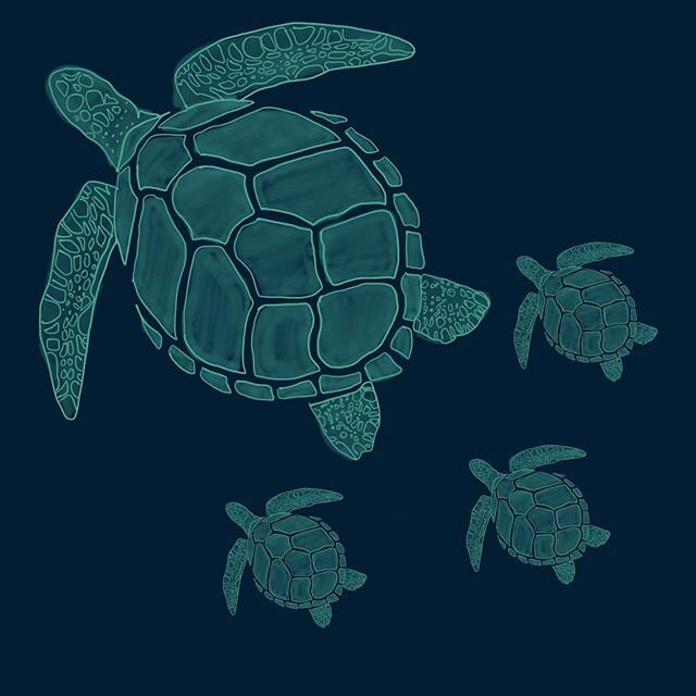 They say turtles represent luck, strength and hope. In this time of uncertainty we wish you and your families all the luck, strength and hope! #uncertaintimes #turtle #hope #staysafe