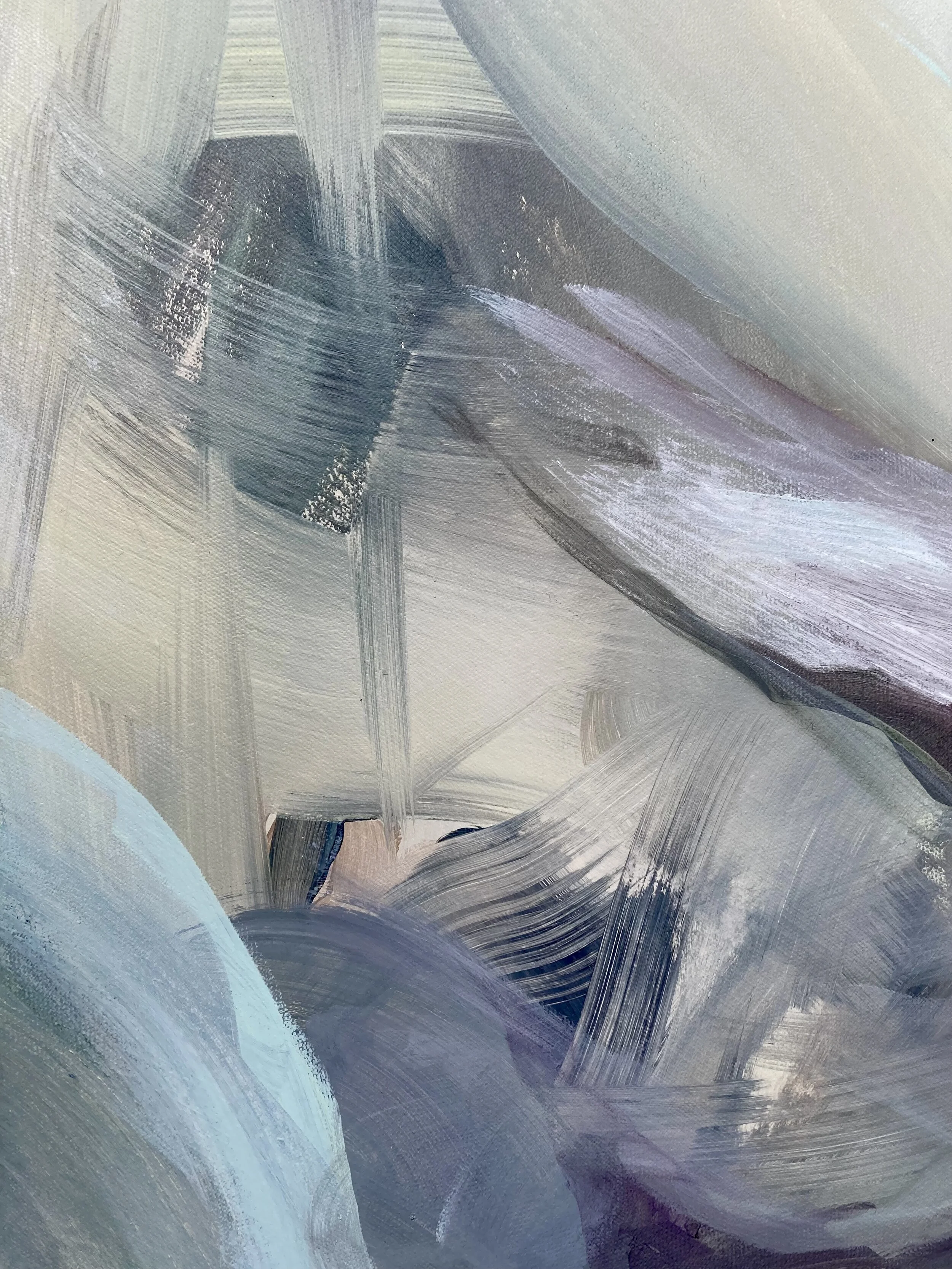 detail_starling_CarinaWold.jpg
