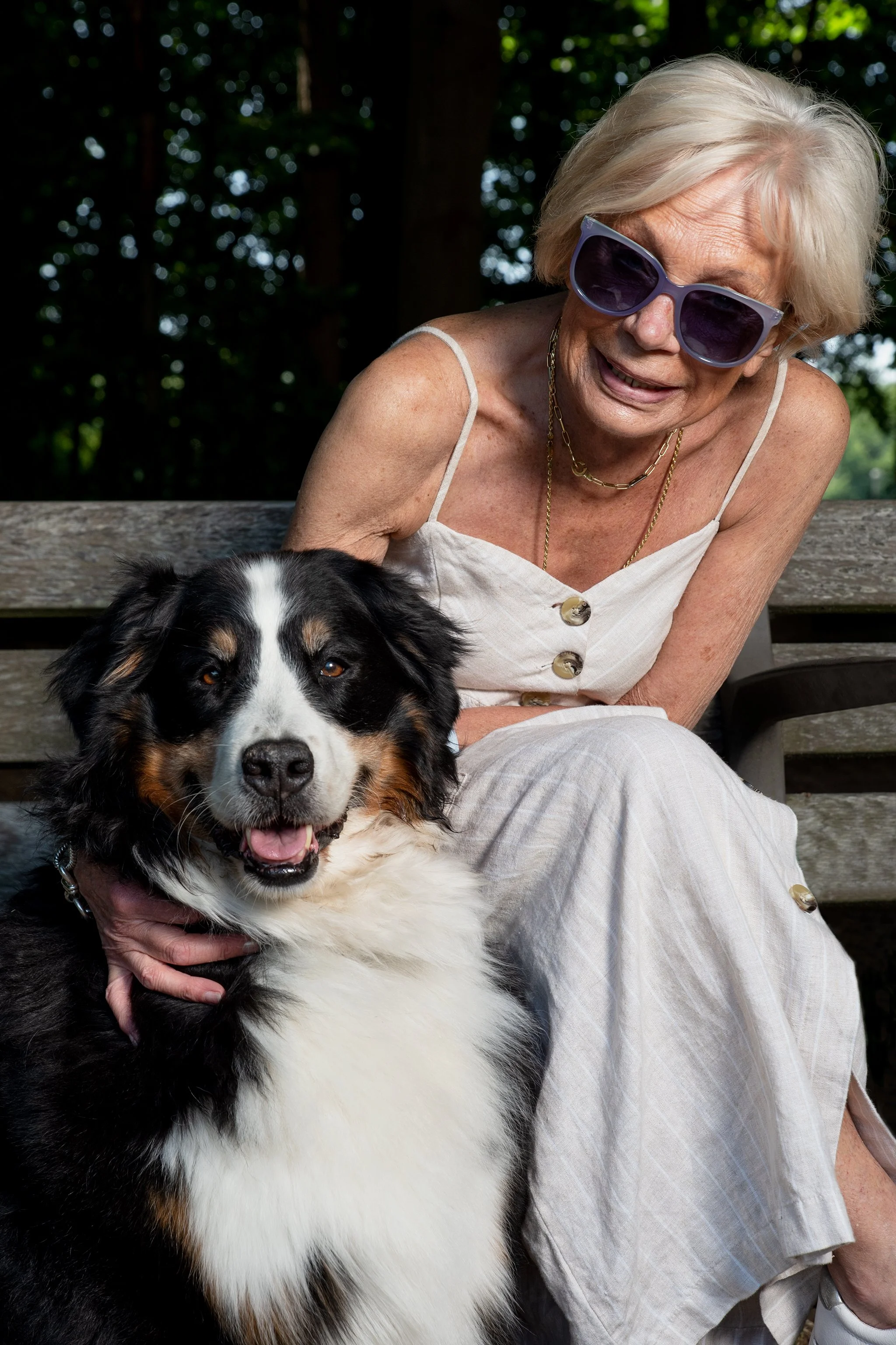 Dogs of Deurne-083_st-bernard.jpg