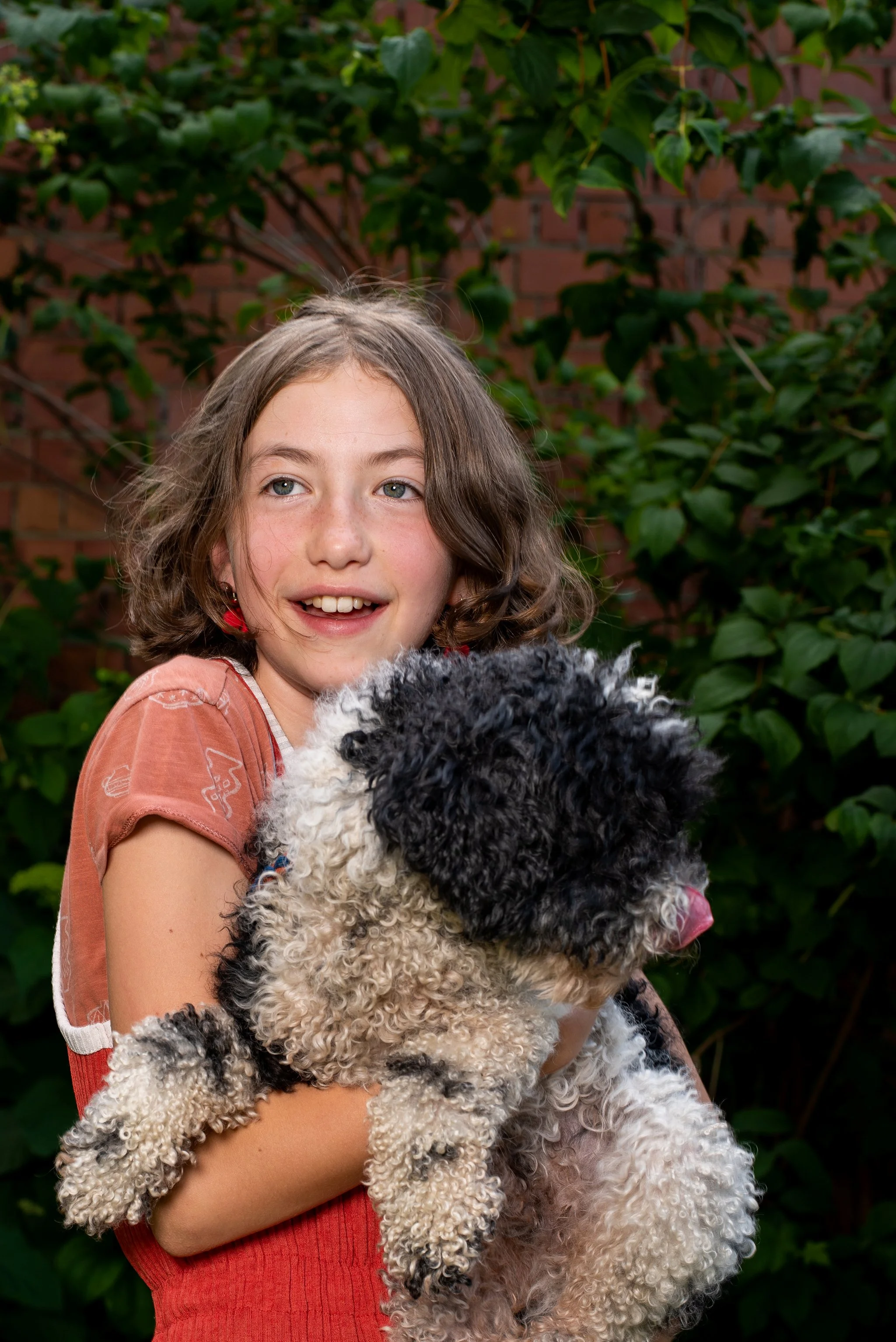 dogs of deurne i.s.m. curieus vzw