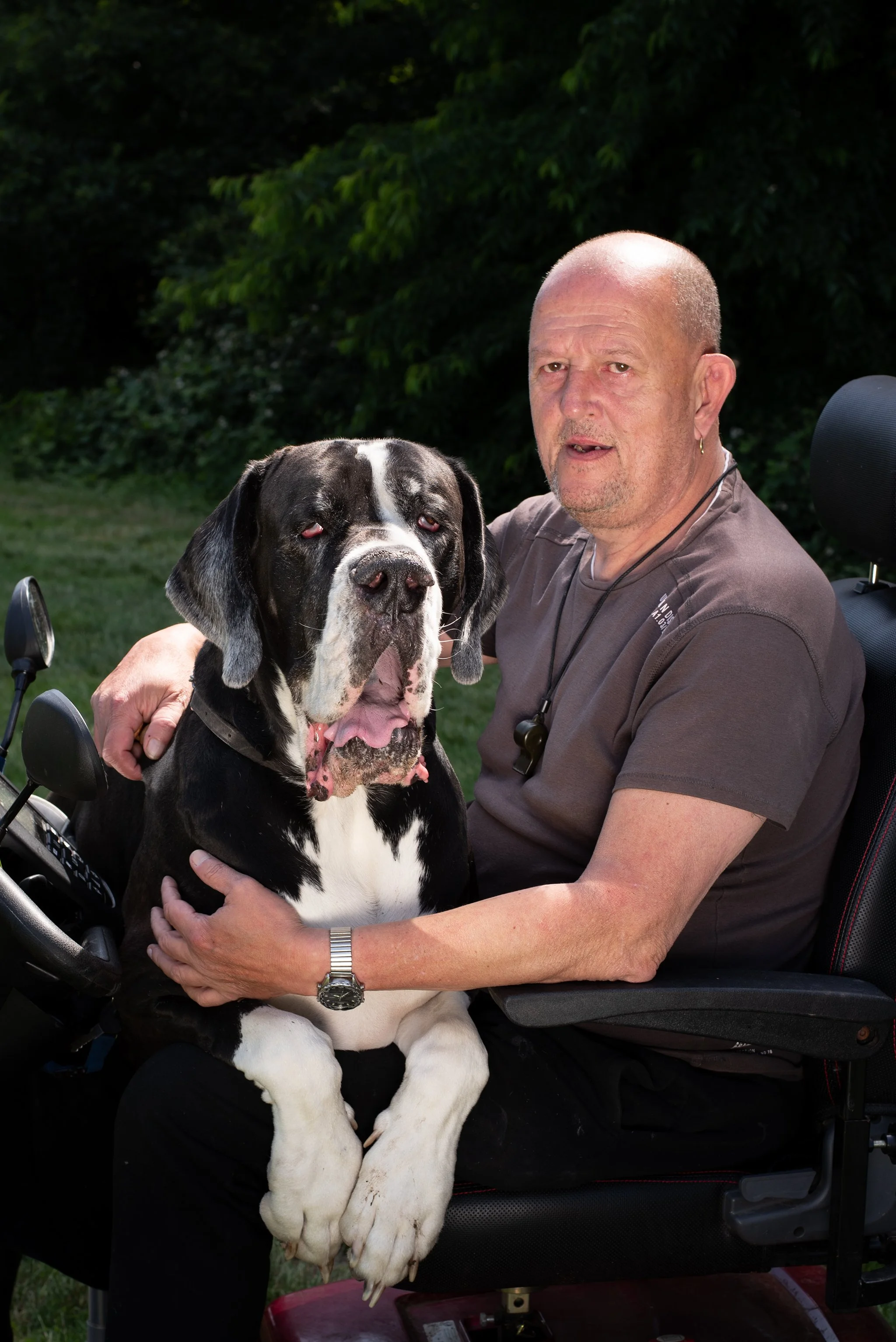 Dogs of Deurne-203.jpg