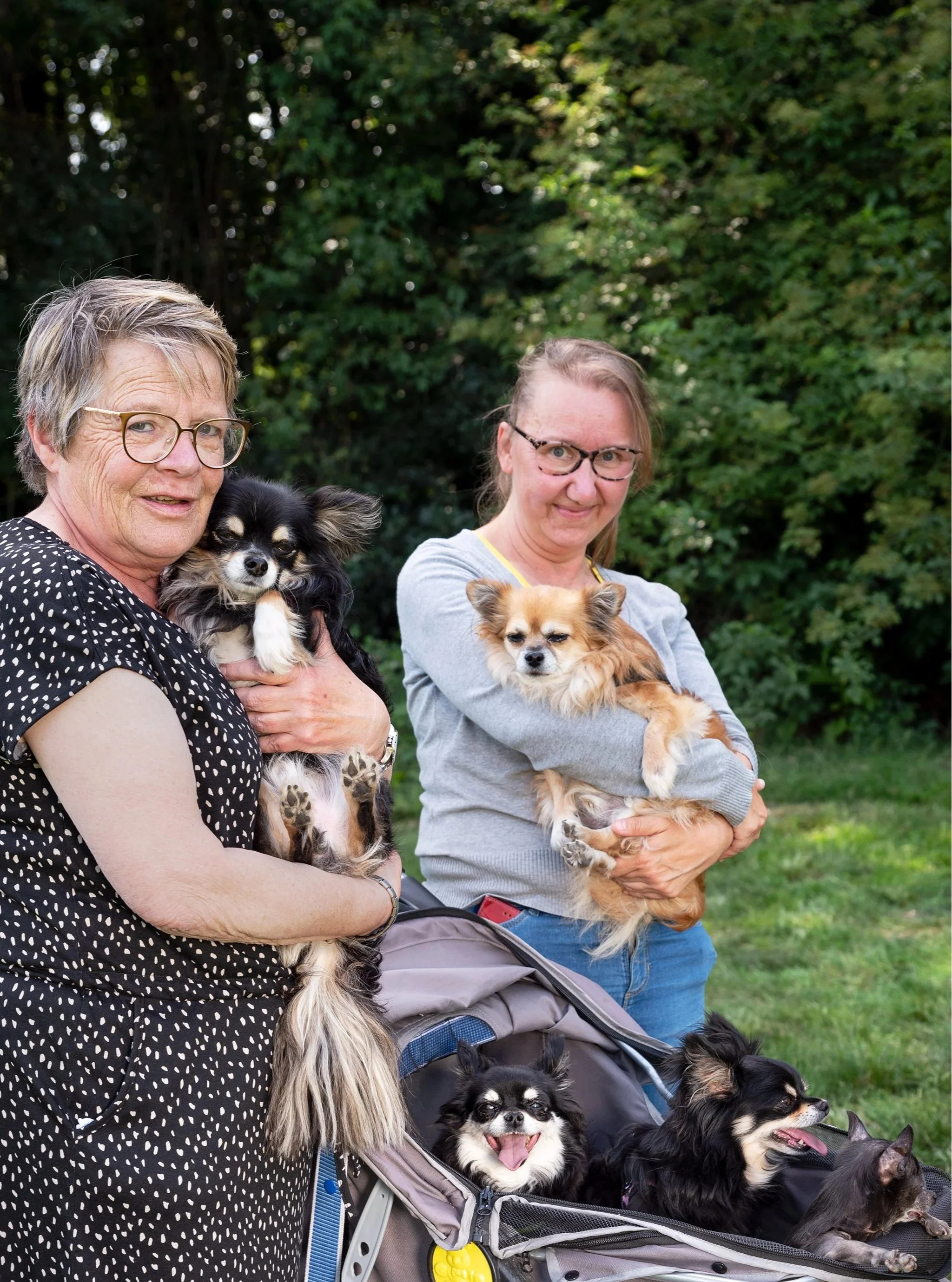 Dogs+of+Deurne-243.jpg