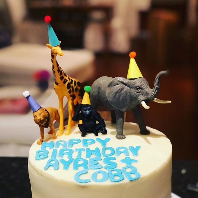 🦒🦍Sweet little🎉party🎉animals🐅🐘