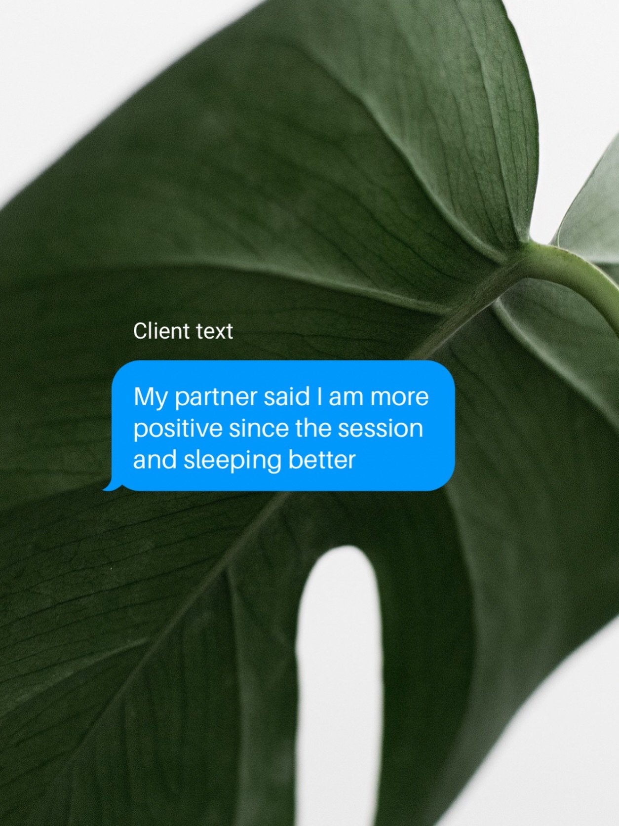 This client came in for digestive support.

Our gut and nervous system are constantly communicating, which is why digestive balances can sometimes create ripple effects far beyond digestion alone. 

One of the things I loved studying in the Advanced 