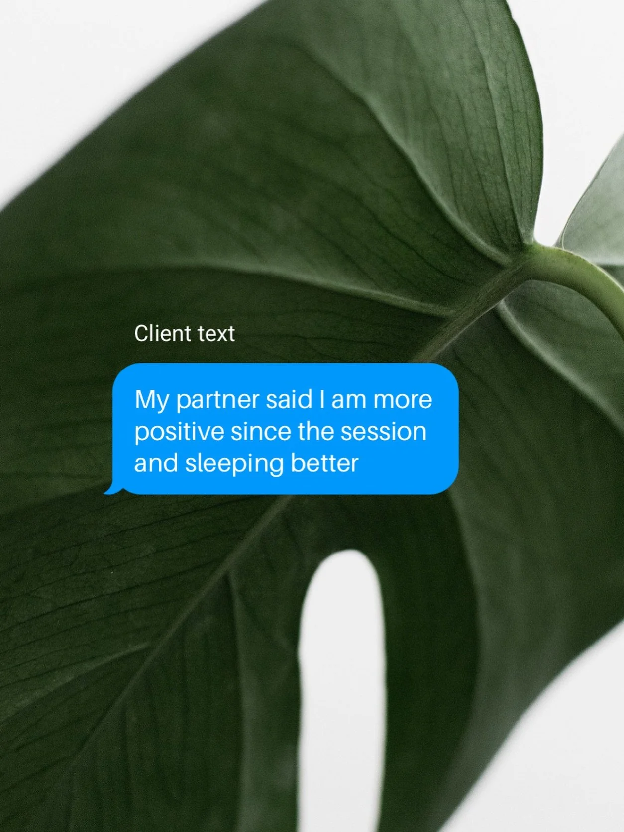This client came in for digestive support.

Our gut and nervous system are constantly communicating, which is why digestive balances can sometimes create ripple effects far beyond digestion alone. 

One of the things I loved studying in the Advanced 