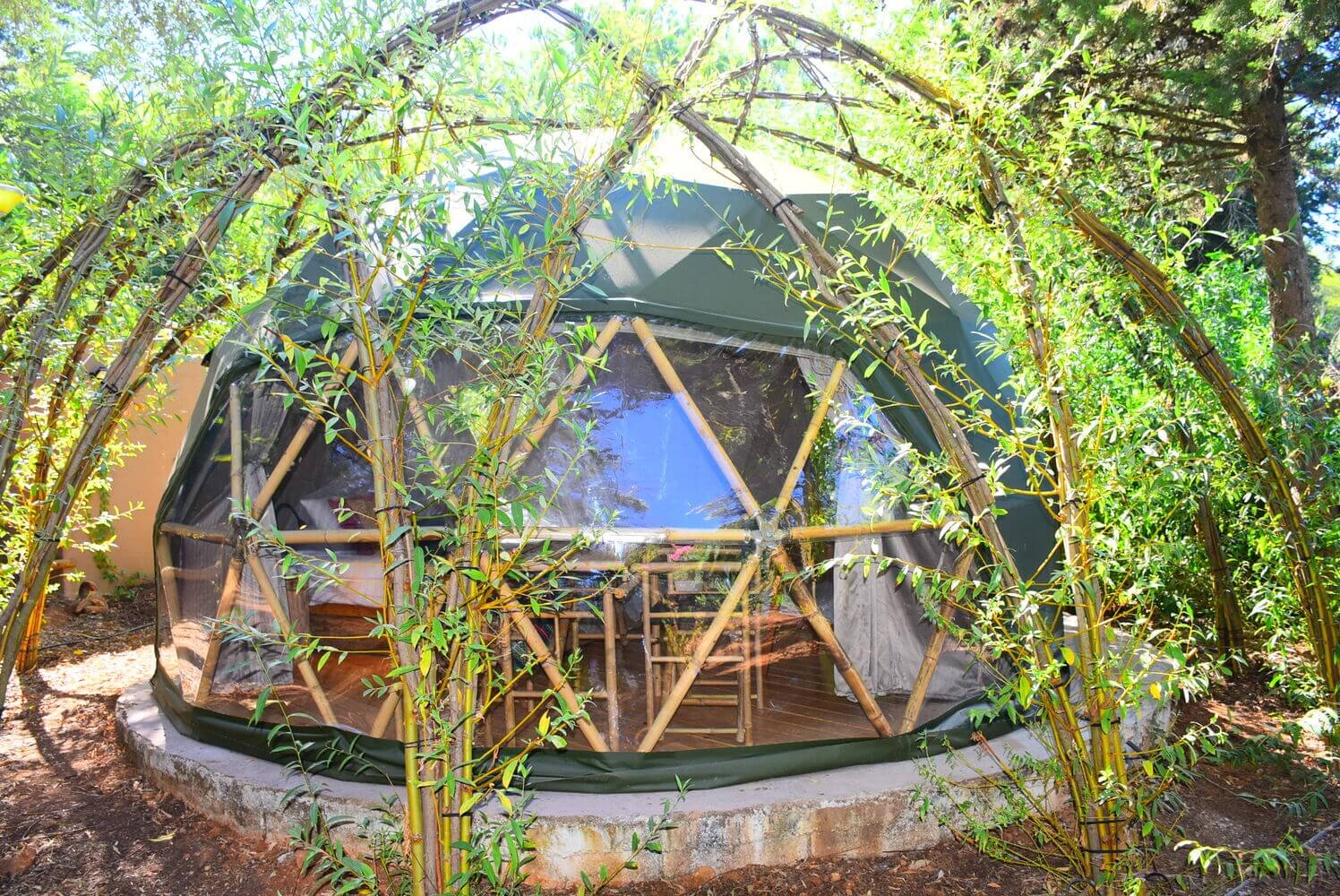 willow-tree-dome-9.jpg