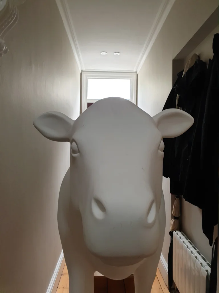 20190803_111424.jpg