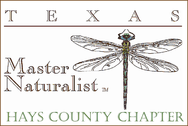 HCMN Logo 2016.png