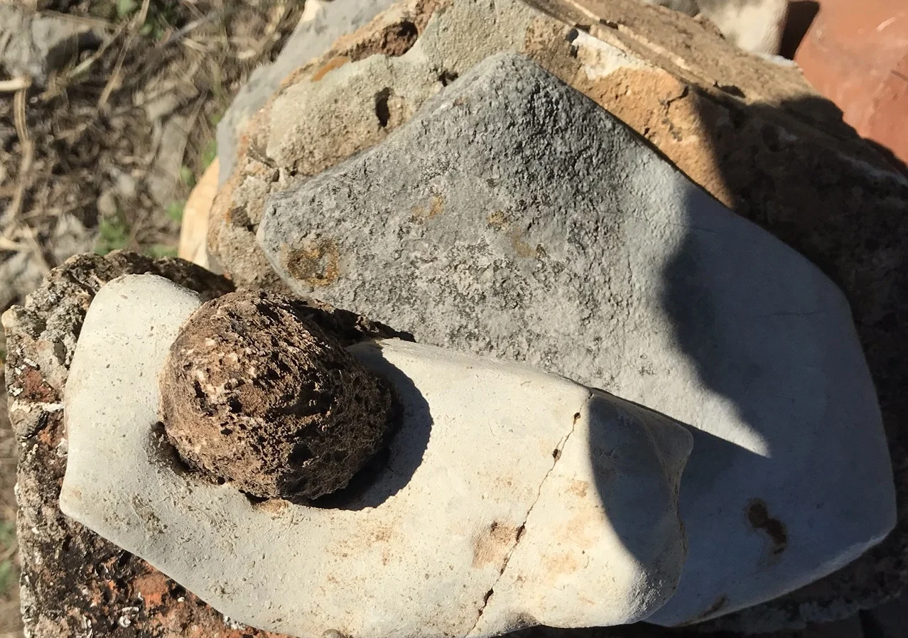 Flint nodule in limestone matrix_2.jpg