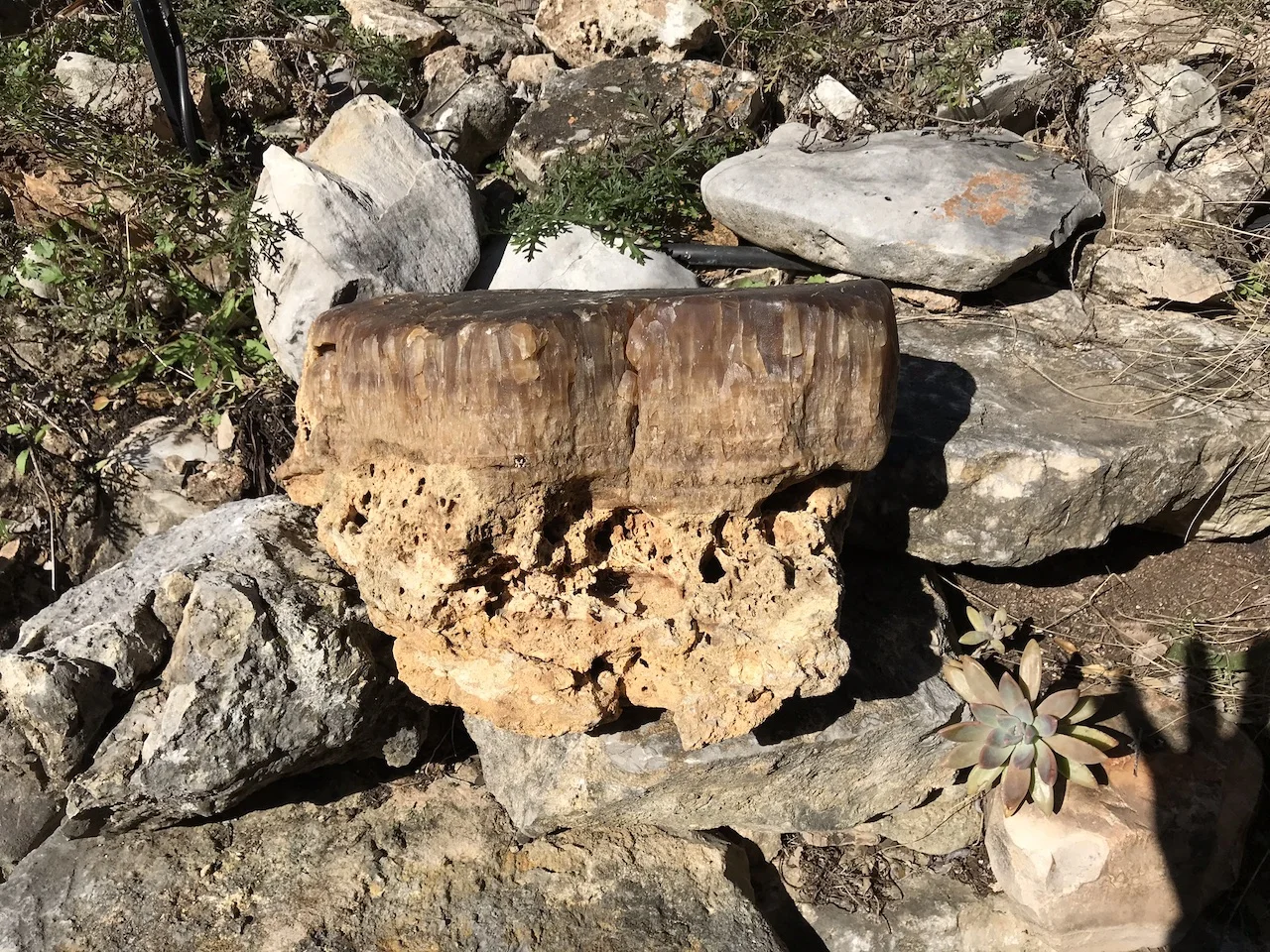 Calcite Crystals & Limestone