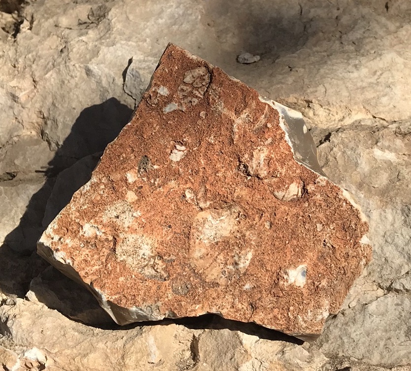Ledge Flint with Fossil Coating