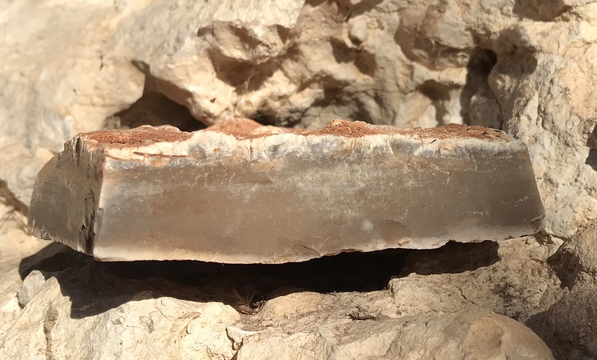 Ledge Flint Cross Section
