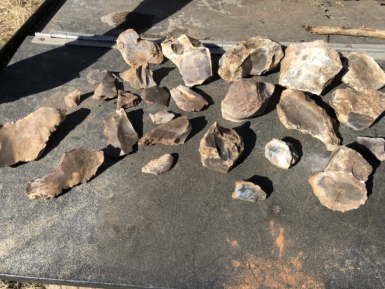 Recent Finds