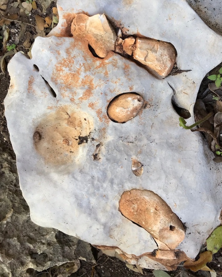 Flint Nodules