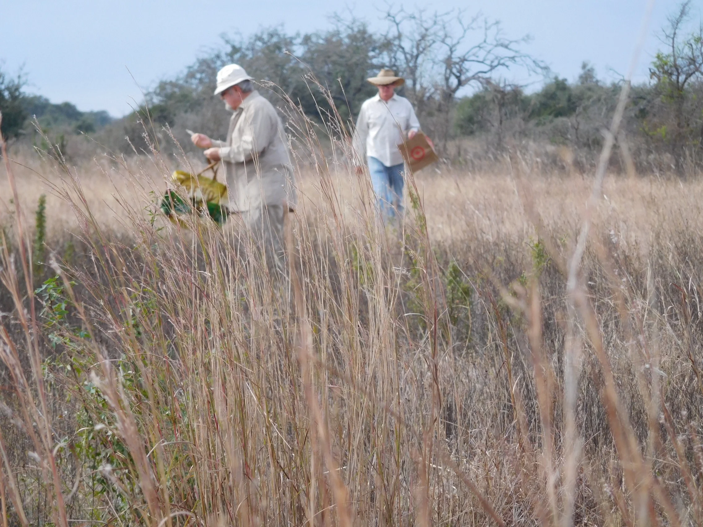 Collecting Seeds