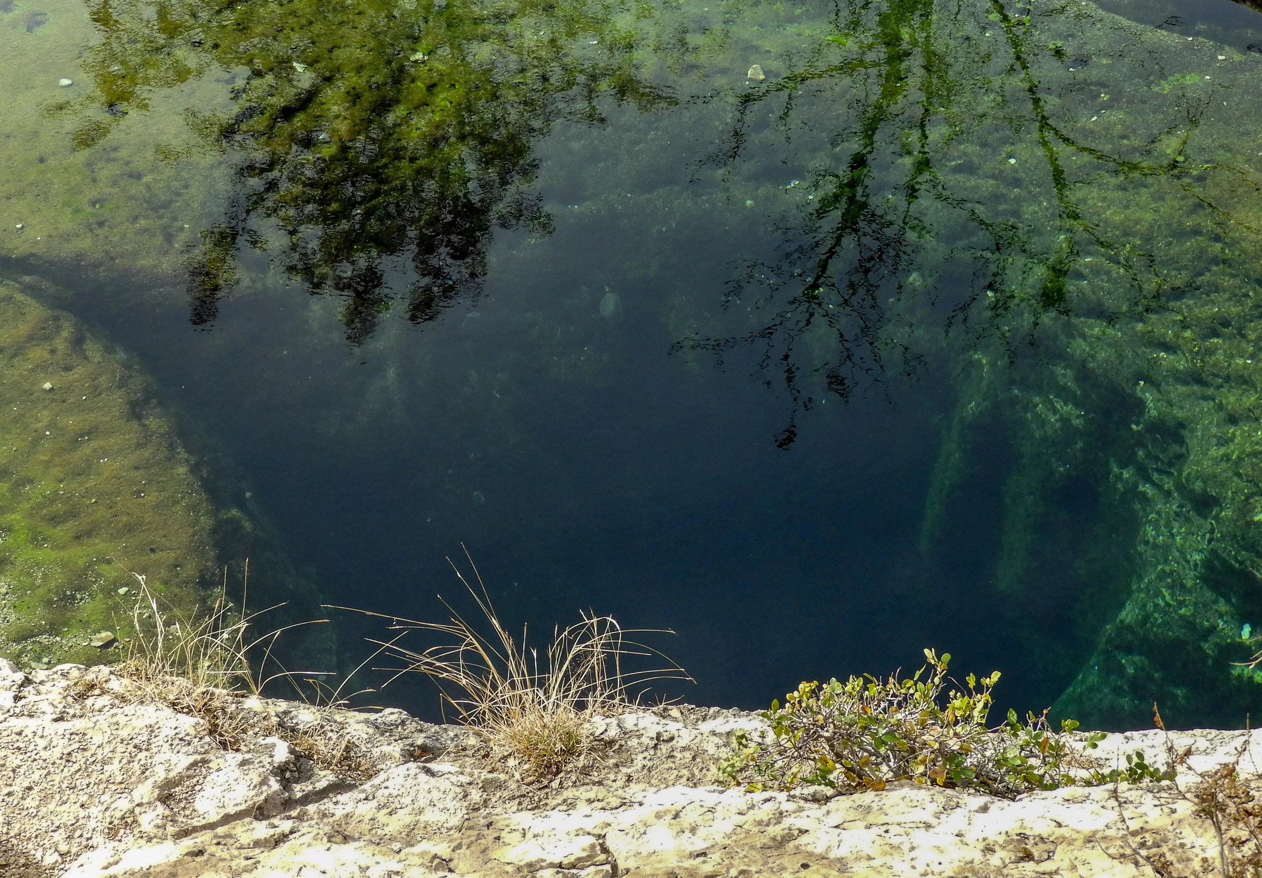 DSCN0139.jpg