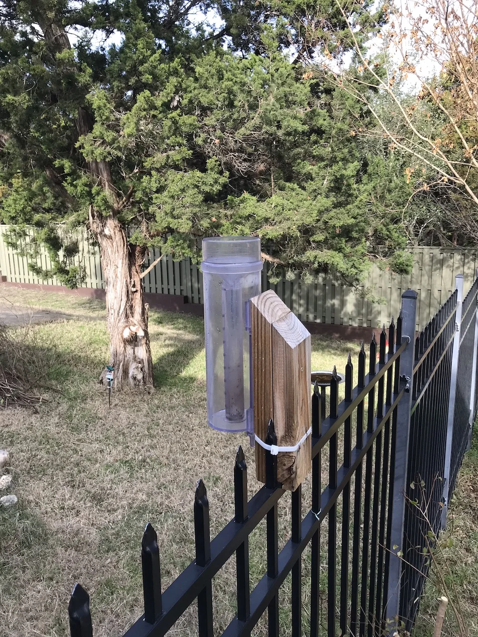 Tom Jones’ Rain Gauge - Wimberley