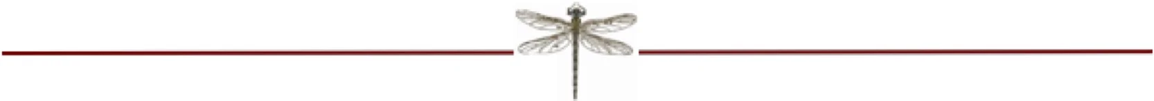 Webpage Separator Line_R1.jpg