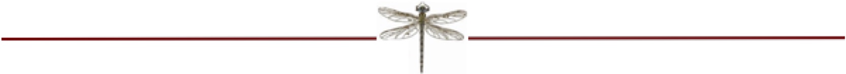 Webpage Separator Line_R1.jpg
