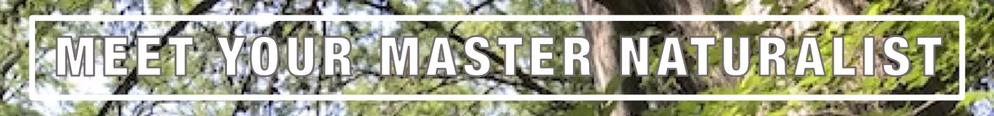 MYMN Title_r1.jpg