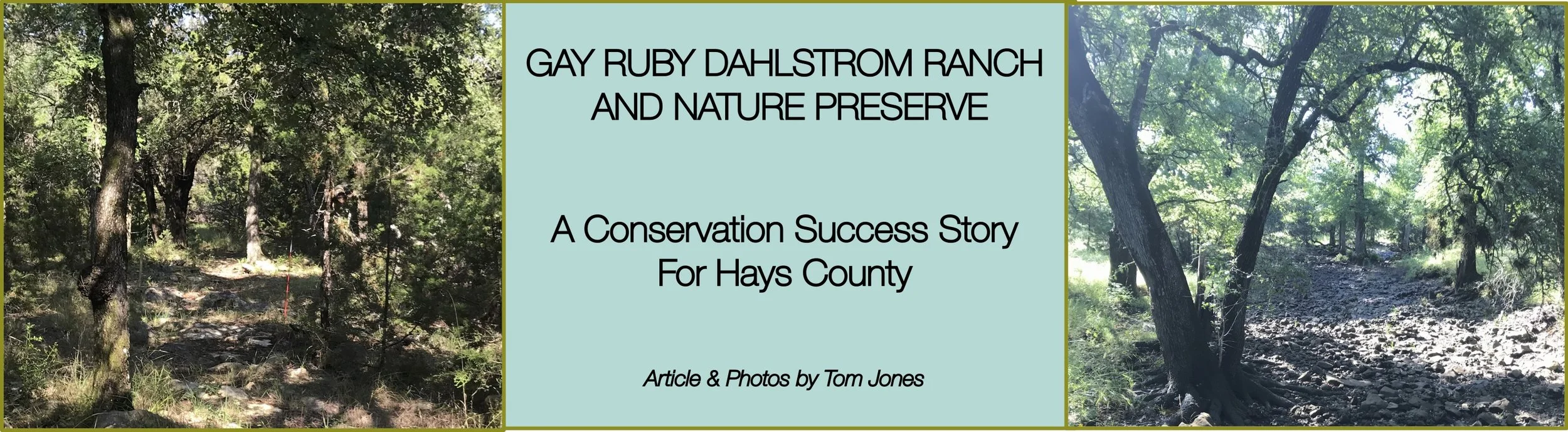 Dahlstrom Title Block _R2.jpg
