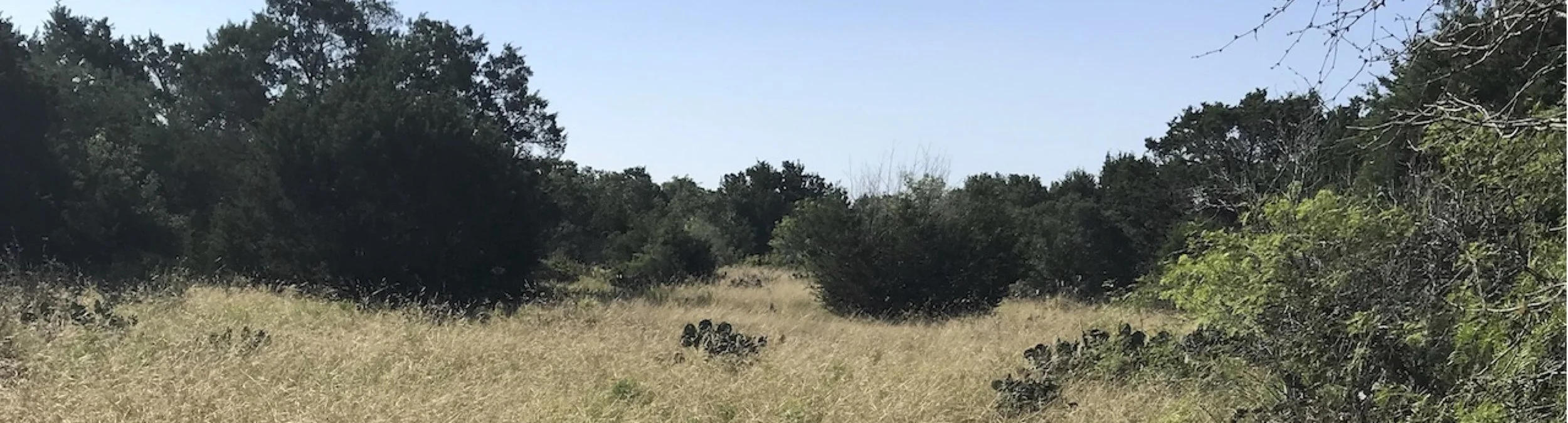 Preserving open space in the Hill Country is vital to maintaining the quality and quantity of sustainable water resources.