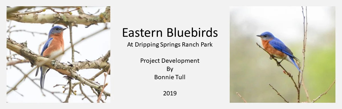 Nest Box Photos by Bob and Tina Adkins Article and Presentation by Betsy Cross