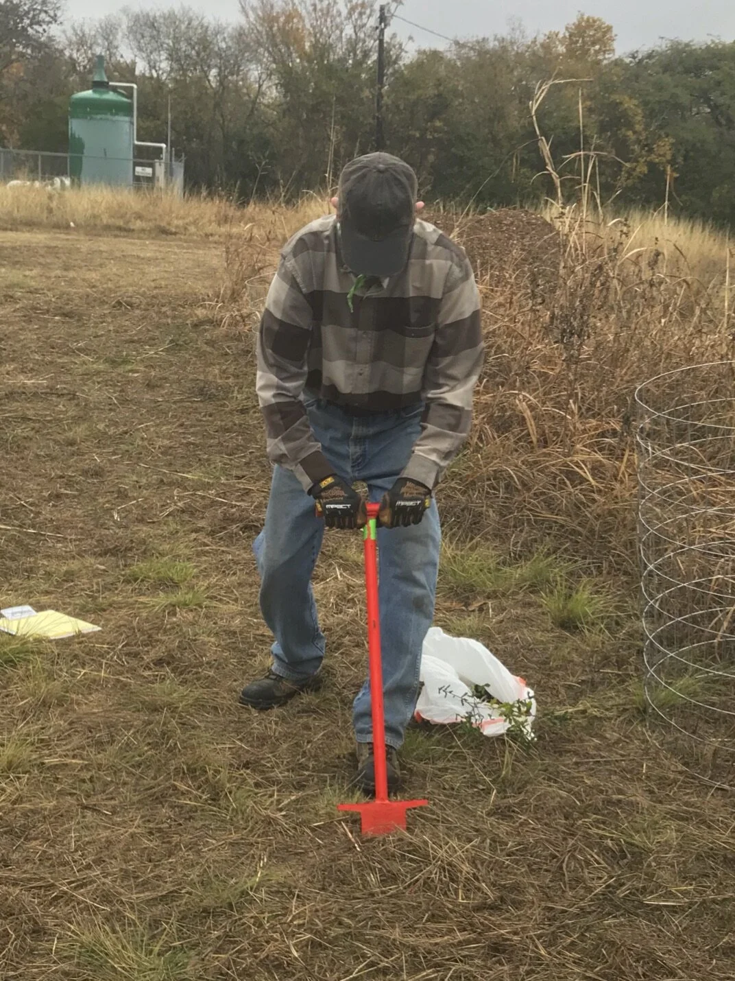 Tree Planting Dibble _ Dibble Planting Guide – CFFRFH