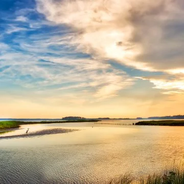 How Maryland Farmers Are Bettering the Bay