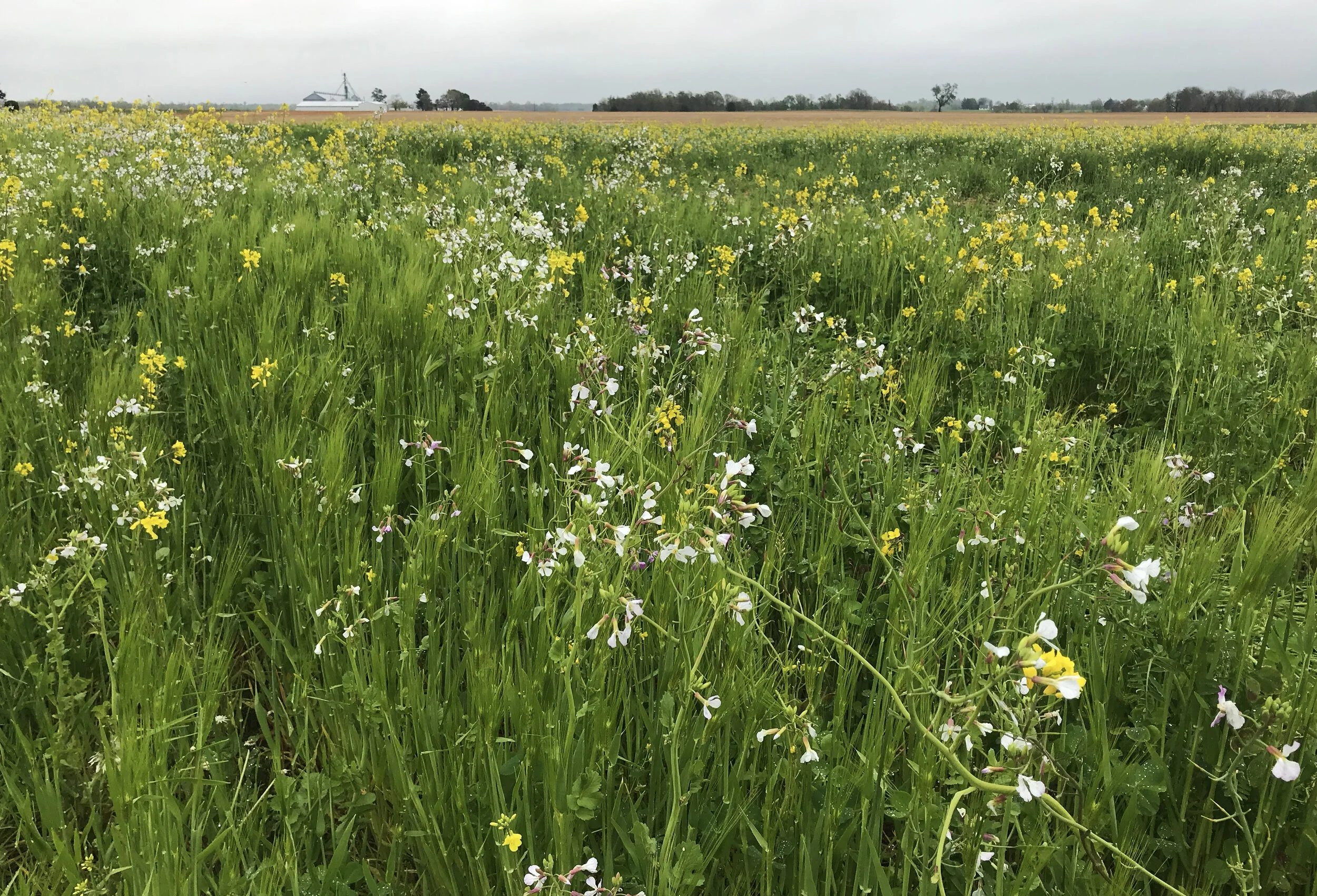 Building Resilience: Better Farms, Better Farmers