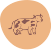 Group 4.png