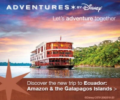 AmazonBanners_300x250_final.jpg