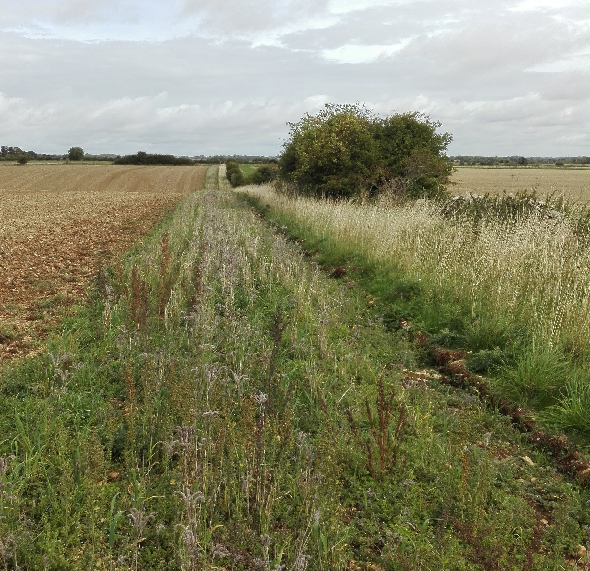 Calmsden Farm.jpg