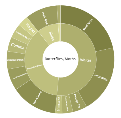 Butterflies over 1 Year