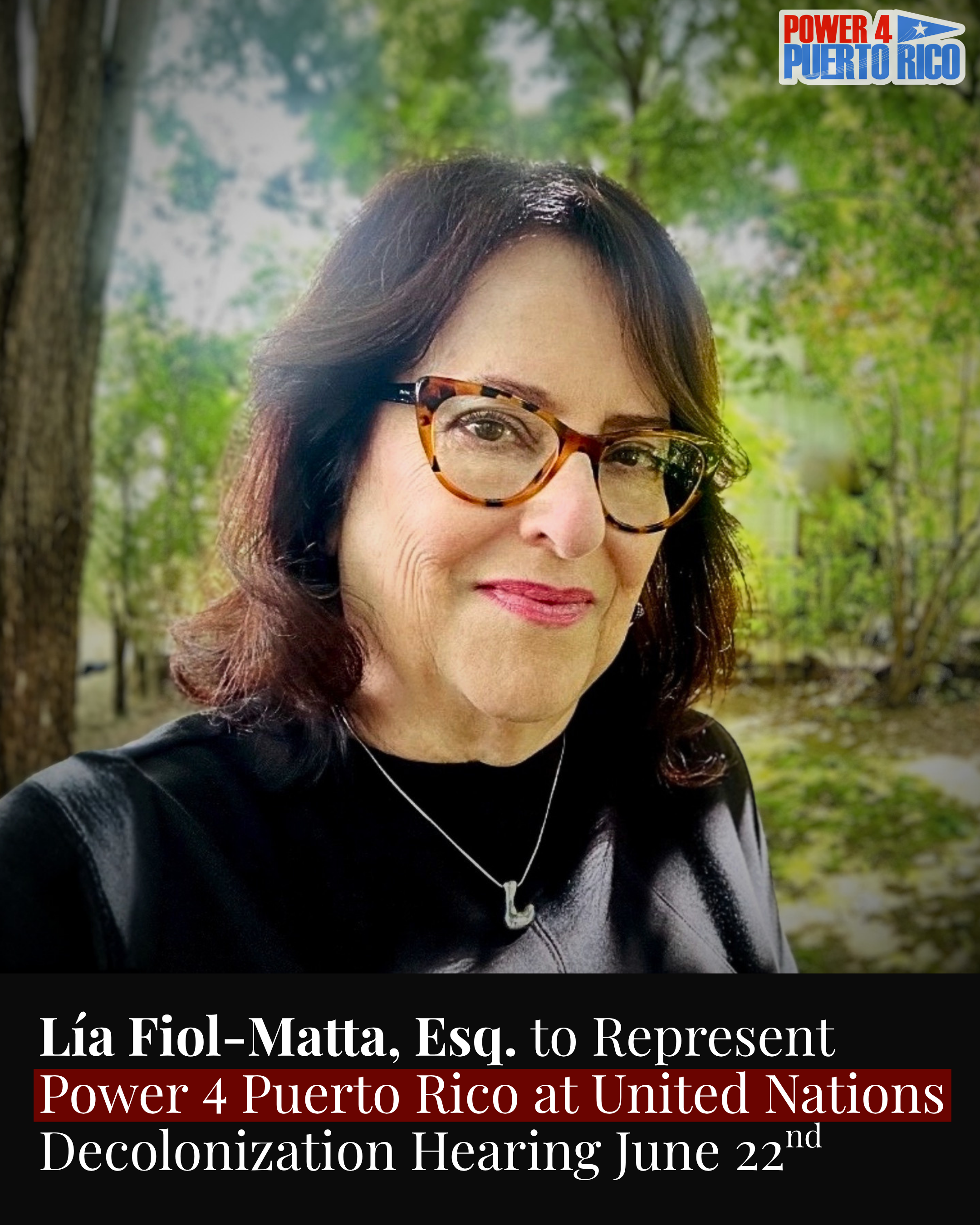 Lía Fiol-Matta Press Release 1.png
